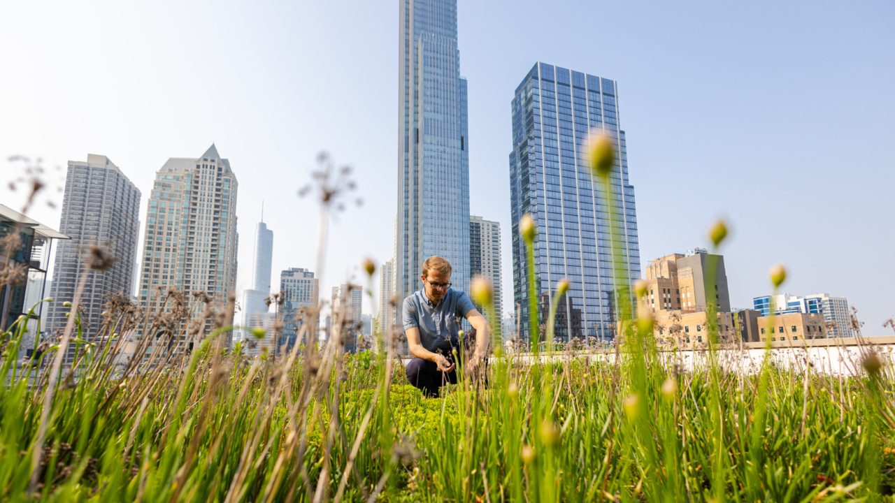 230725_Green_Roofs-2804