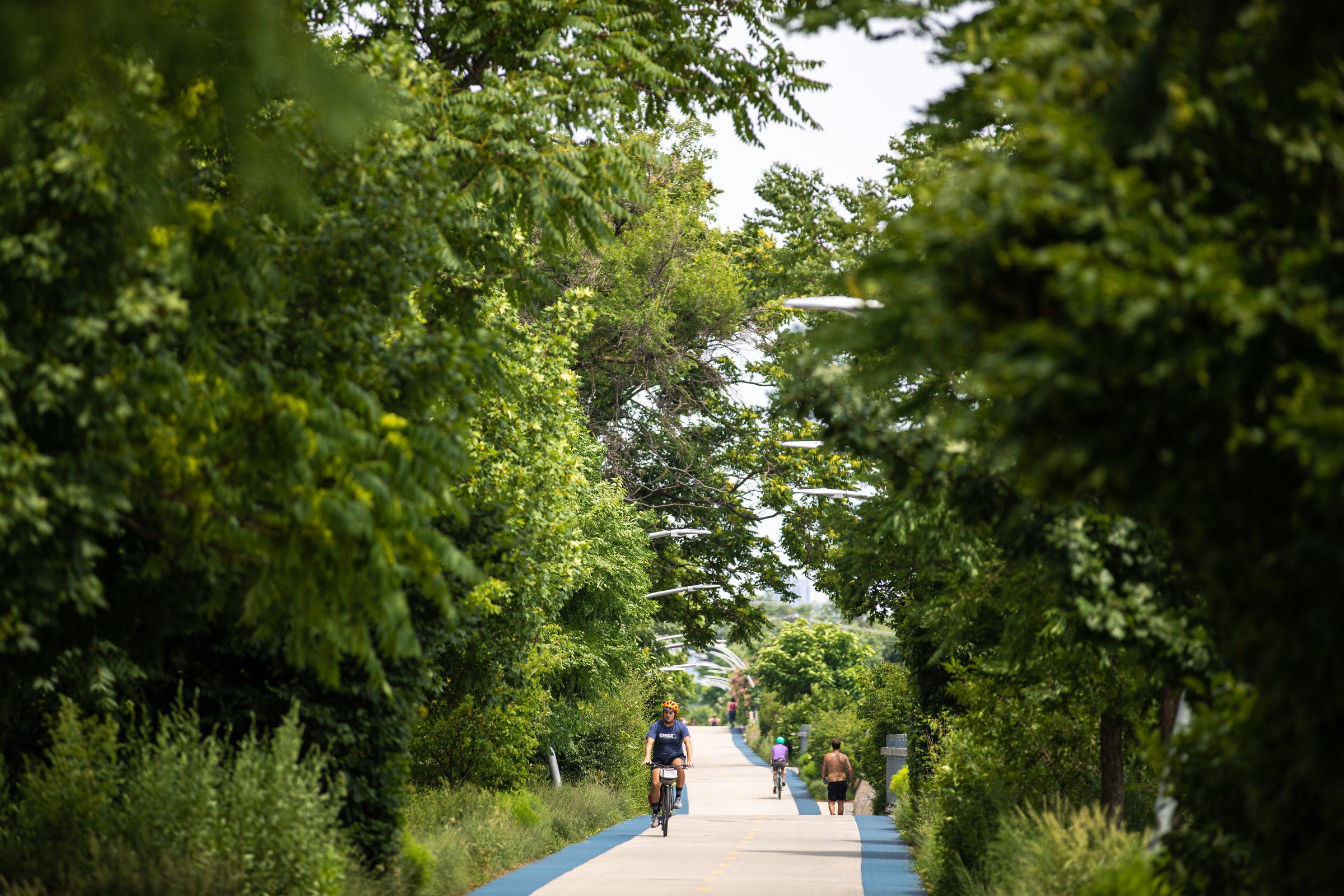 Chicago's Bloomingdale Trail, also known as the 
