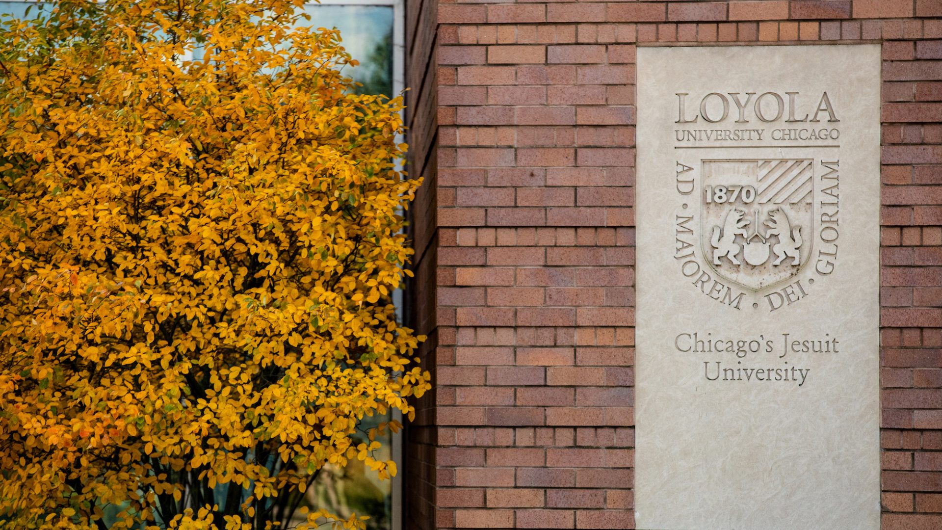 Fall colors on Loyola's Lake Shore Campus