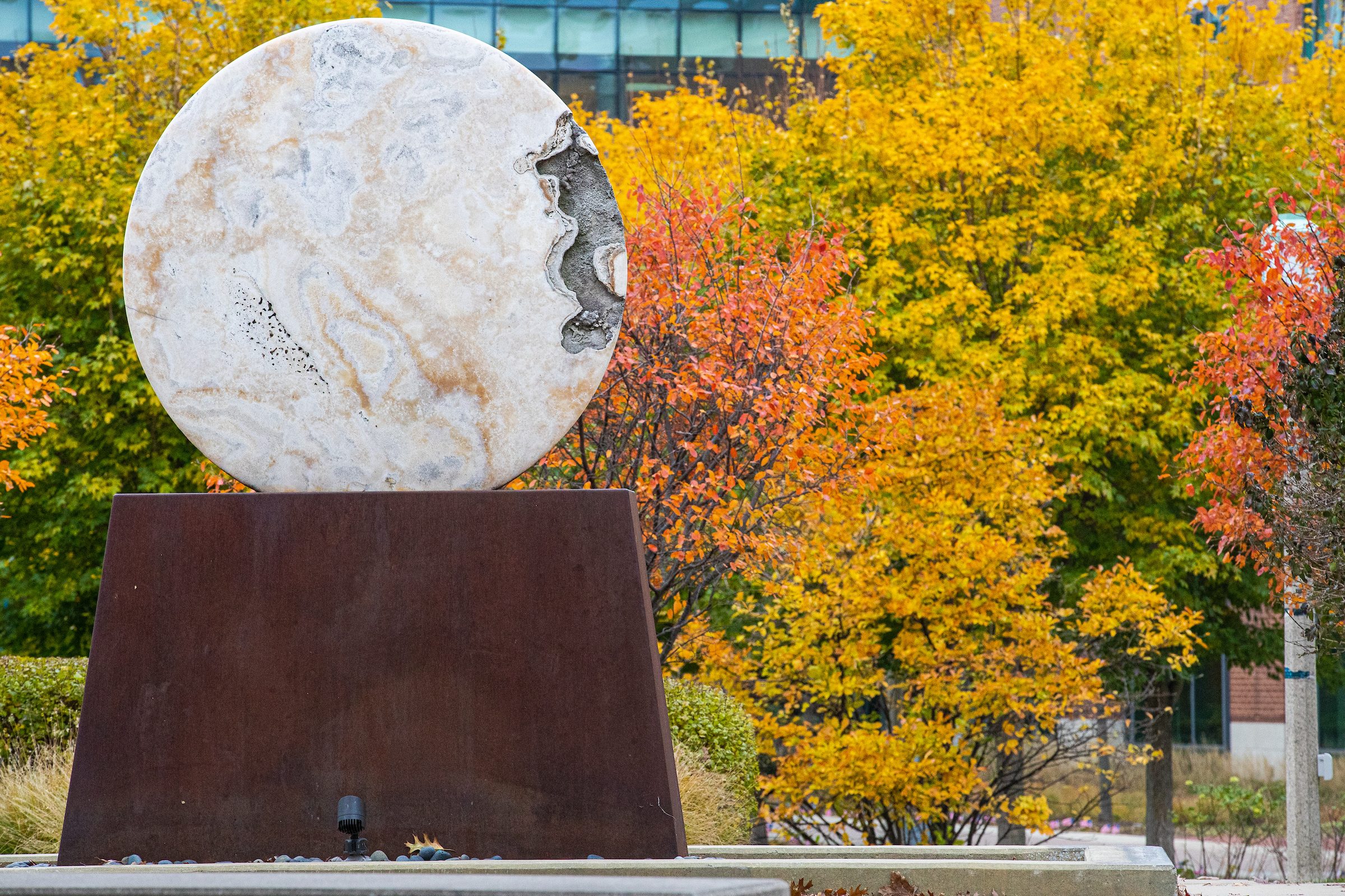 Fall color bursts on Loyola's Lake Shore Campus, November 10, 2021. (Photo by: Lukas Keapproth)