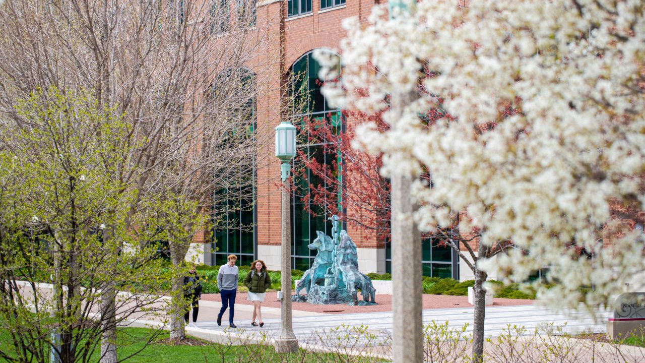 Students walk on the Lake Shore Campus as flowers burst open to welcome spring
