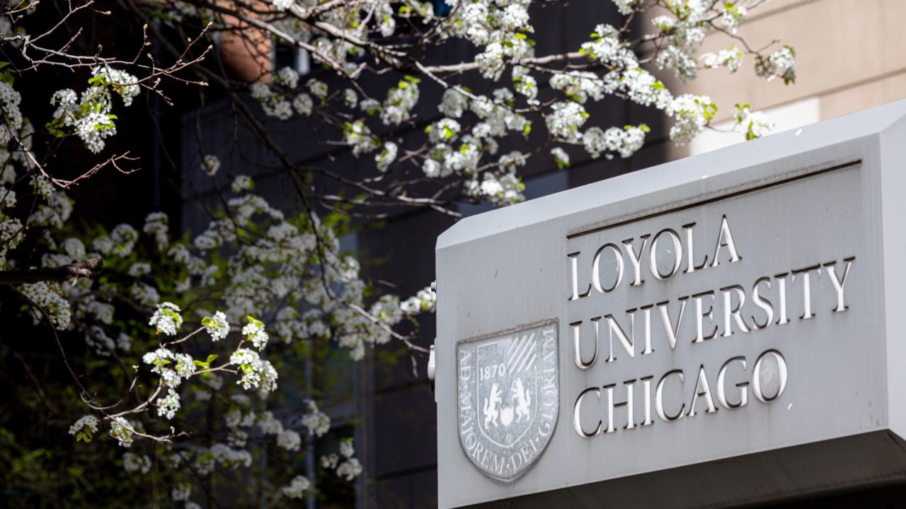 A tree blooms by a campus sign for Loyola University Chicago
