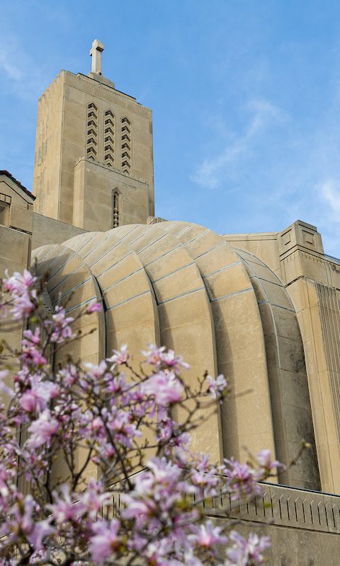 The Madonna Della Strada chapel with a blooming tree in the foreground