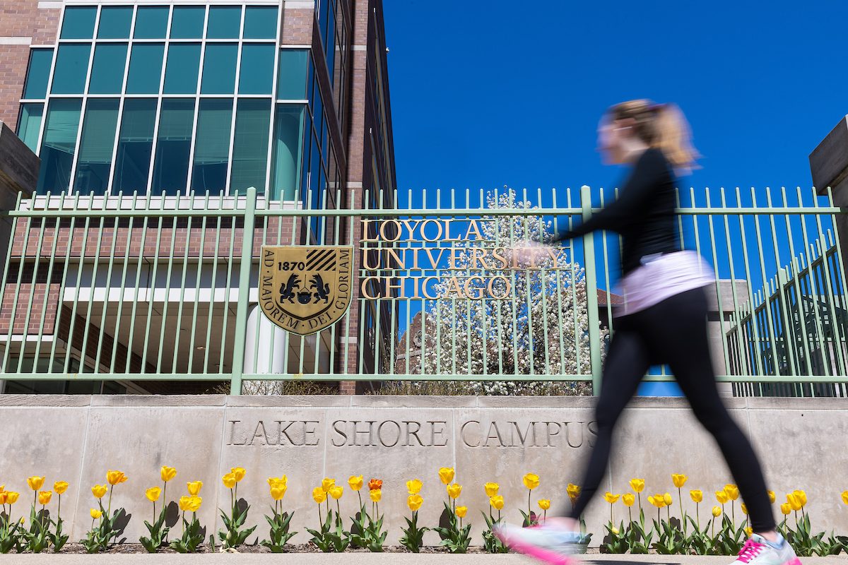 The Lake Shore Campus blooms with warmer spring weather, April 13, 2024. (Photo by: Lukas Keapproth) A blurred student walks past a Loyola University Chicago sign with blooming yellow flowers planted below it