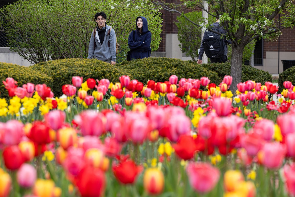Spring colors come alive on the Lake Shore Campus during finals week, April 23, 2024 .(Photo: Lukas Keapproth) Two Loyola University Chicago students wearing jackets walk on campus with colorful tulips in the foreground