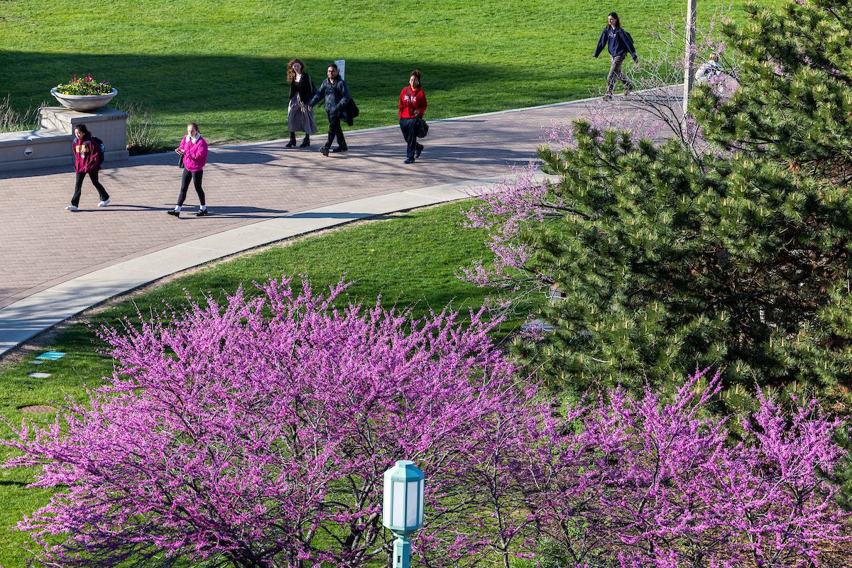 Scenes of spring across the Lake Shore Campus, April 26, 2024. (Photo: Lukas Keapproth)