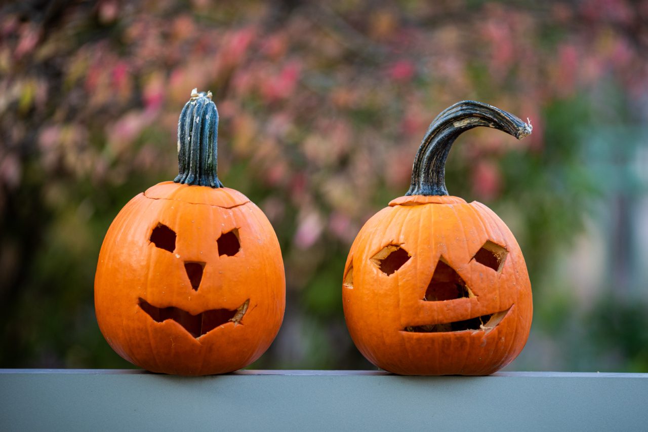 201101_LSC_Sunset-8446