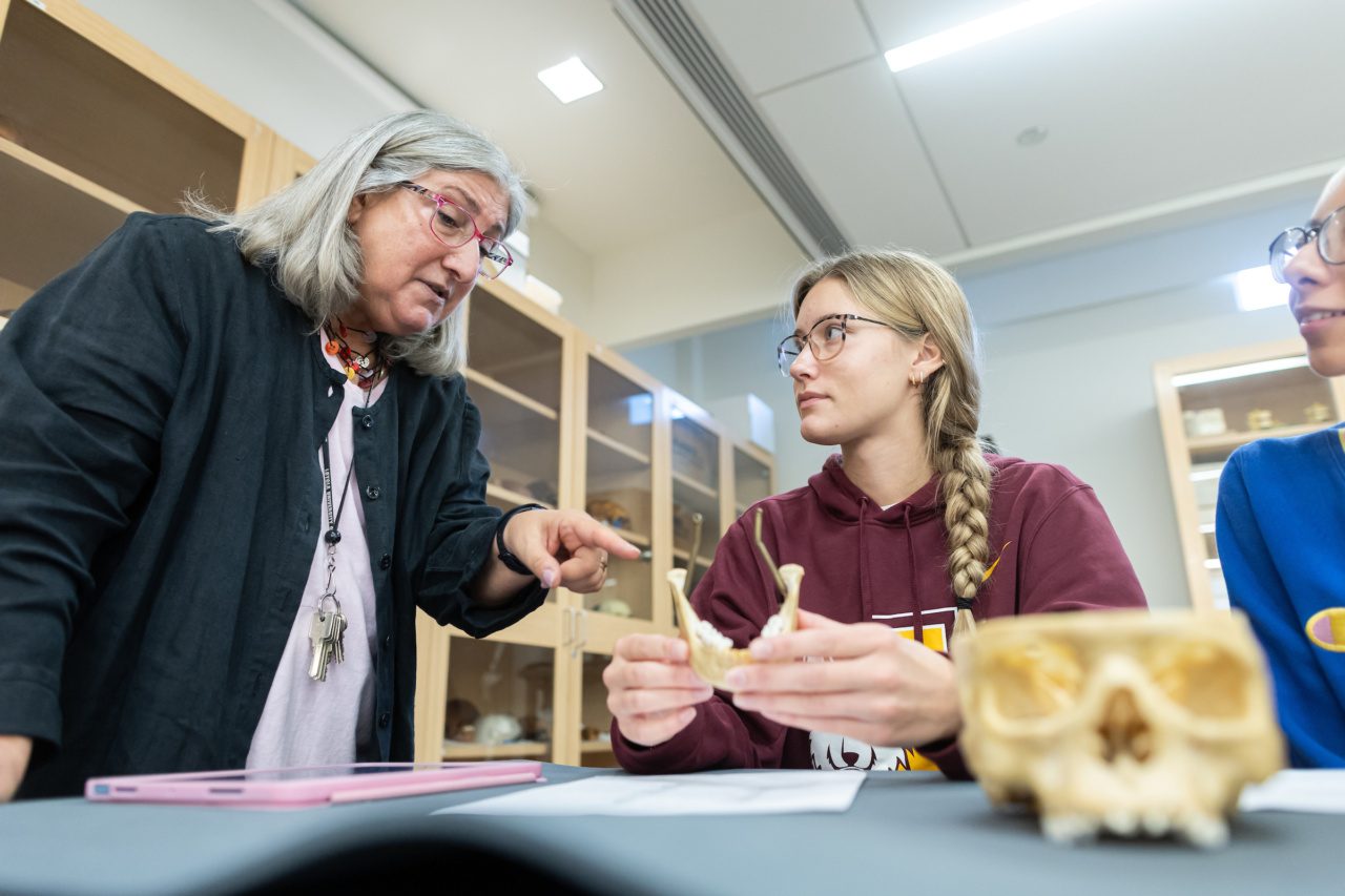 A Loyola University Chicago professor describes the model of a human bone as a student holds the model and listens in a classroom