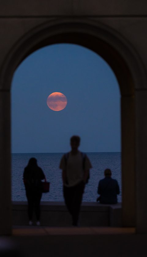 241017_Hunter_Moon-6028