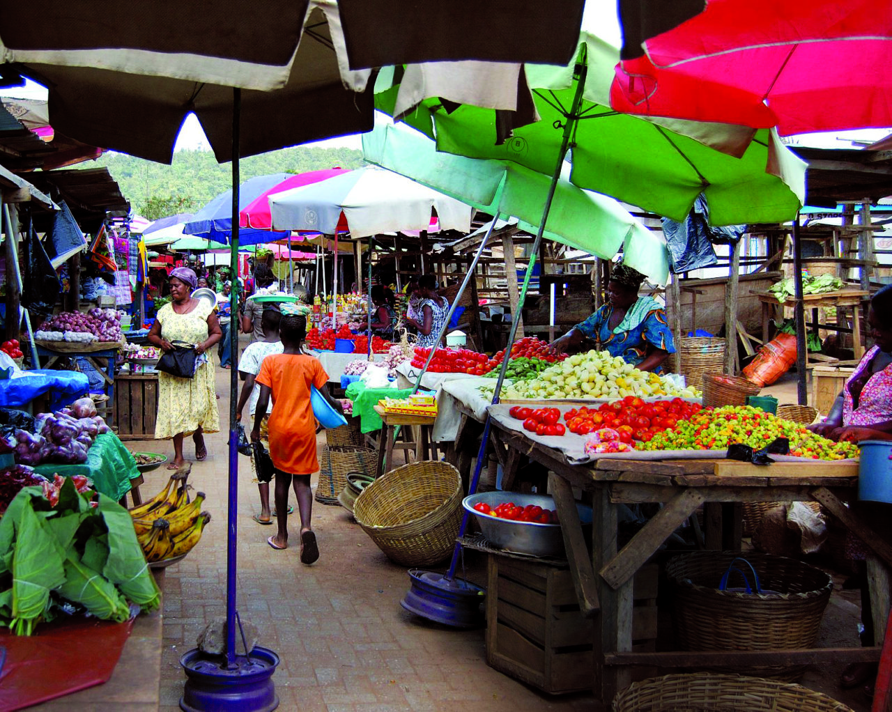 People walk through an open-air street market covered in colorful umbrellas with fresh produce displayed on tables