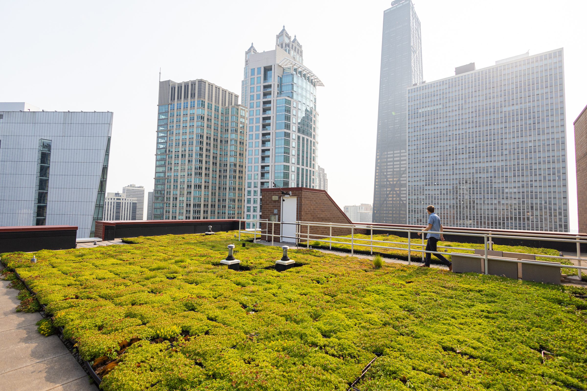 Green roofs atop buildings on Loyola's Water Tower Campus. (Photo: Lukas Keapproth)
