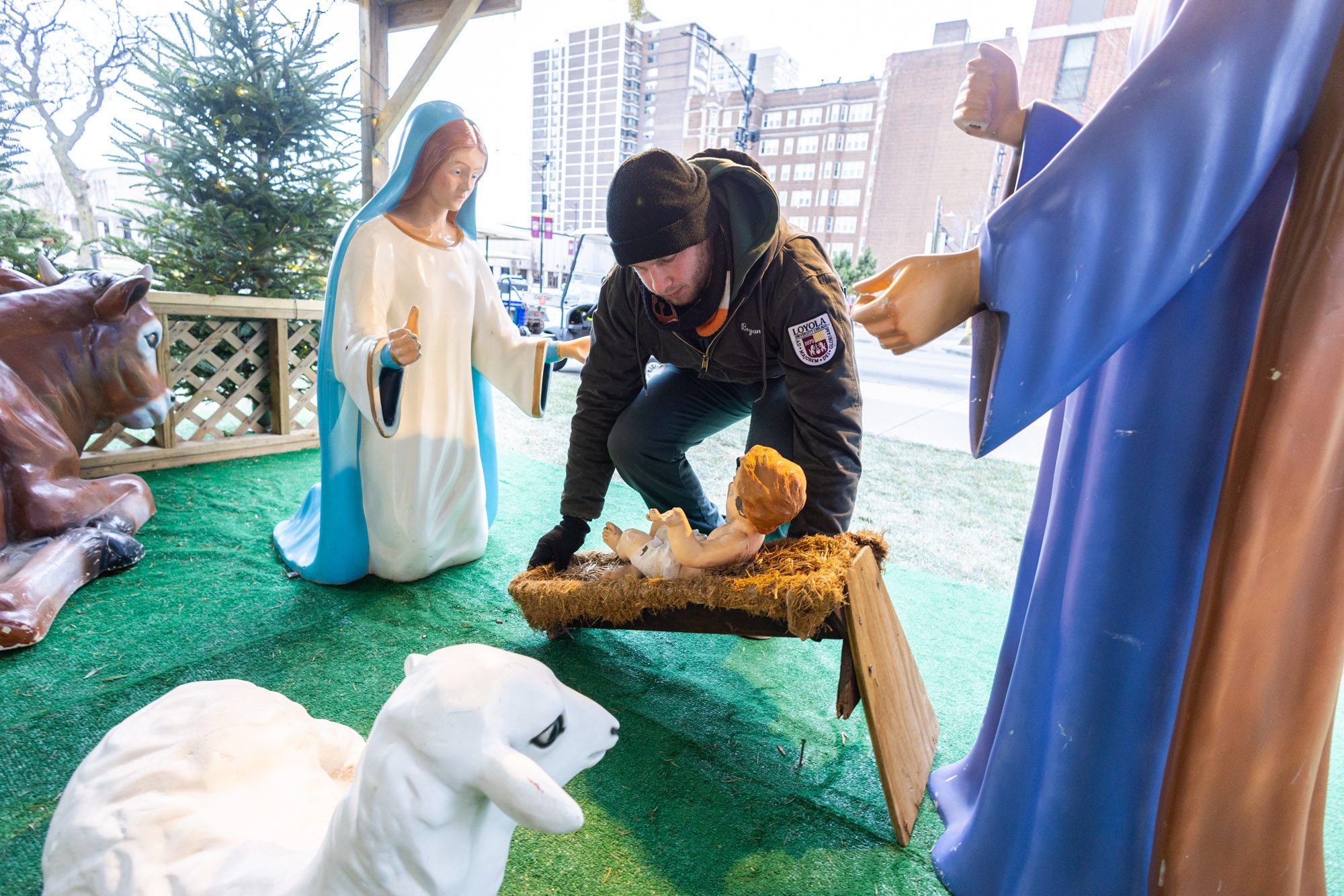 Members of Loyola's Facilities Department put the finishing touches on the manger scene outside Mundelein to celebrate the Christmas season. (Photo: Lukas Keapproth)