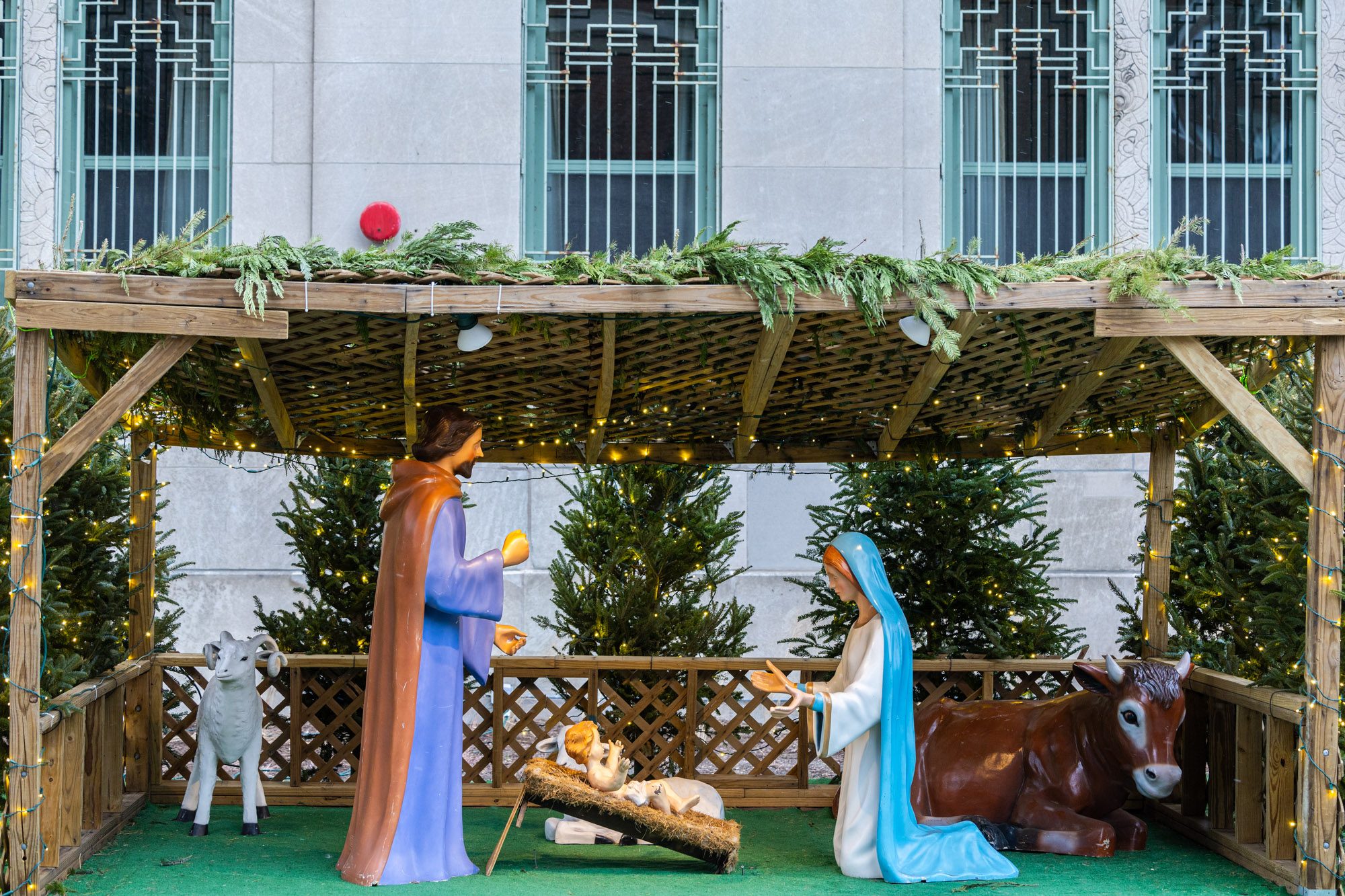 Members of Loyola's Facilities Department put the finishing touches on the manger scene outside Mundelein to celebrate the Christmas season. (Photo: Lukas Keapproth)