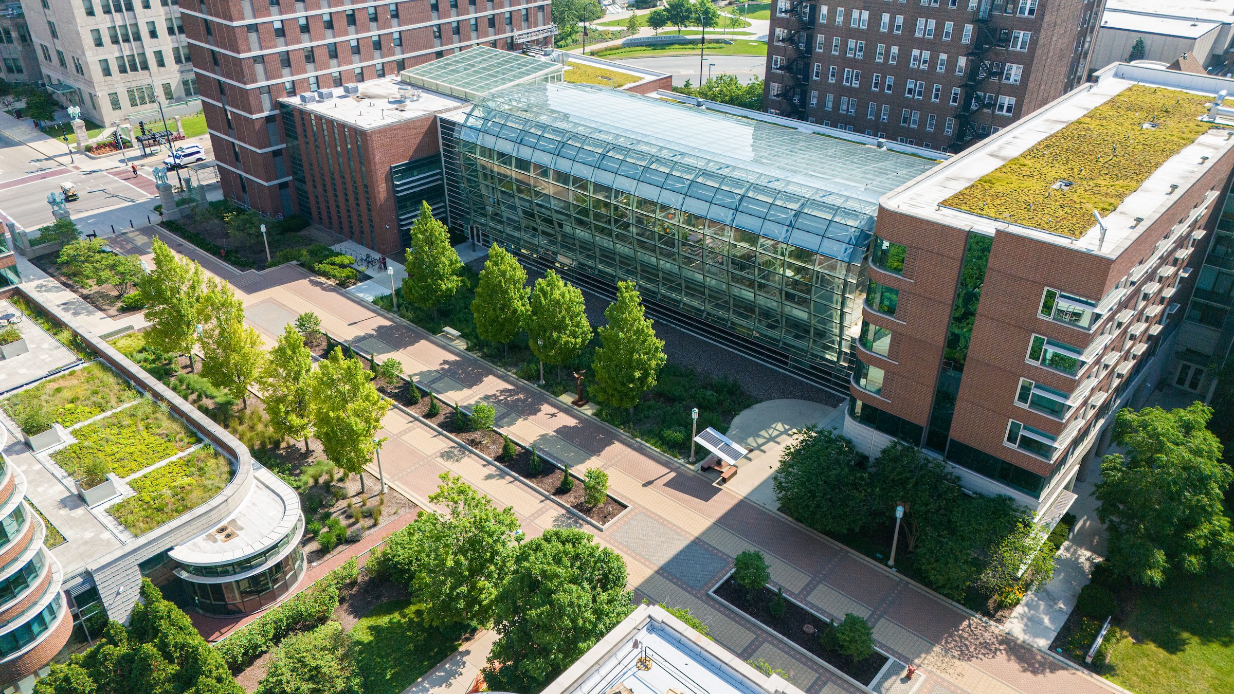 Surrounding the School of Environmental Sustainability are green roofs, porous pavers and plenty of trees to help absorb water runoff.
