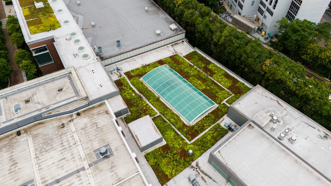 Sunrise over the Lake Shore Campus, August 12, 2025. (Photo: Lukas Keapproth)
