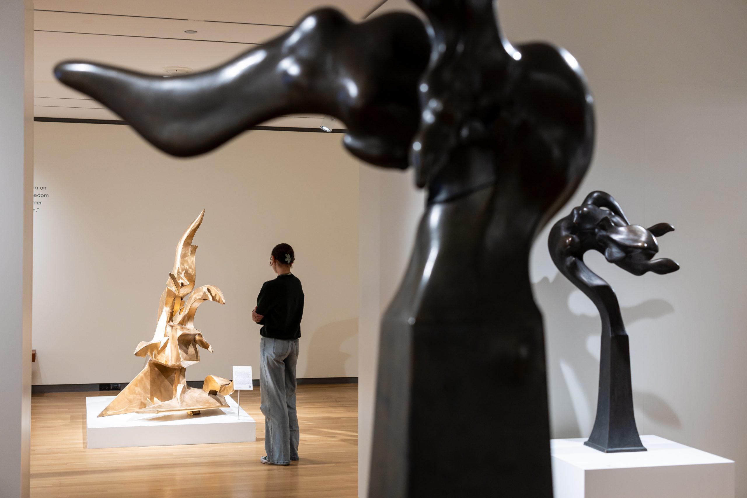 The Richard Hunt exhibit,