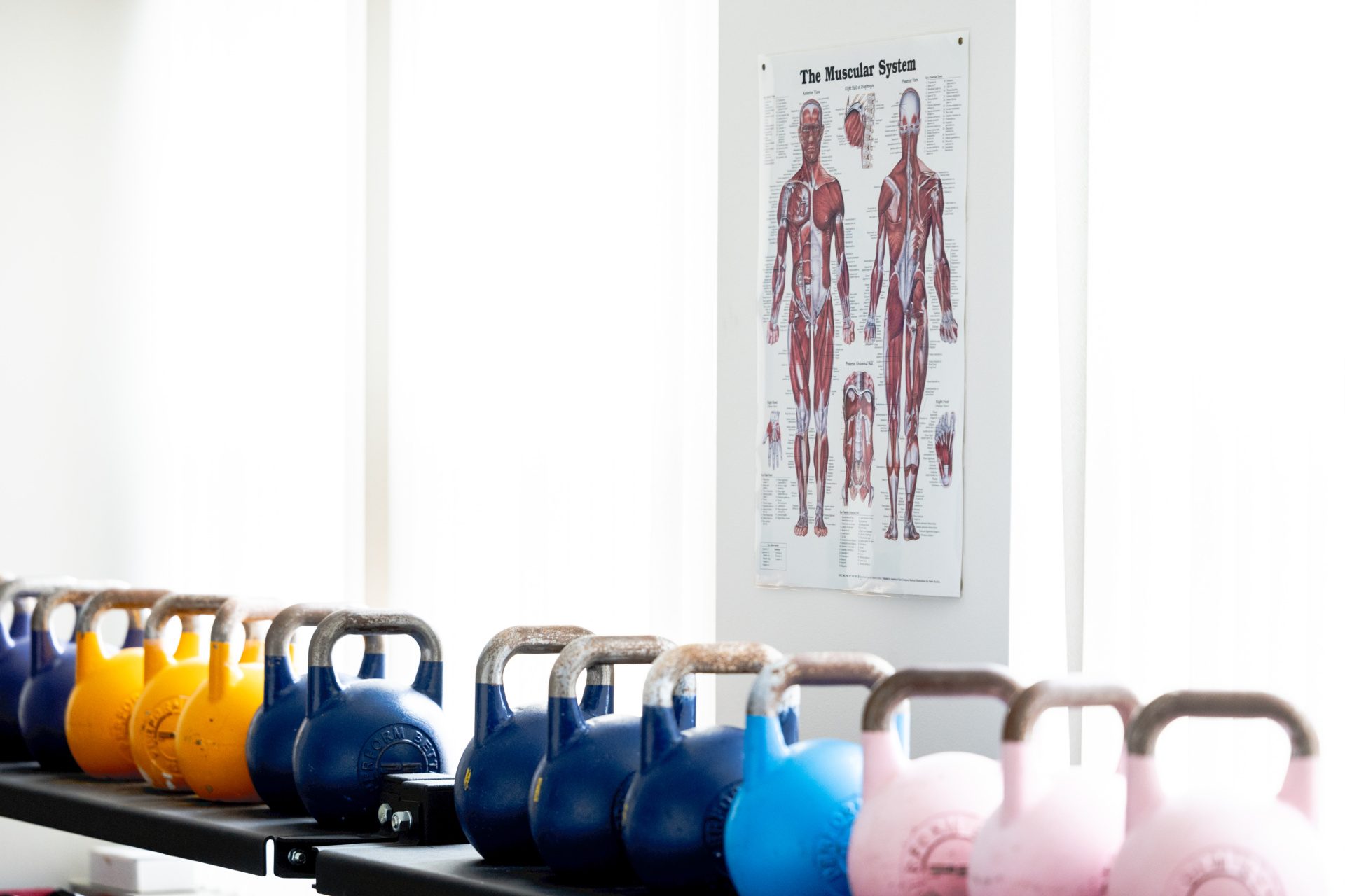 240207_Exercise_Science_Stephanie_Wilson-4185