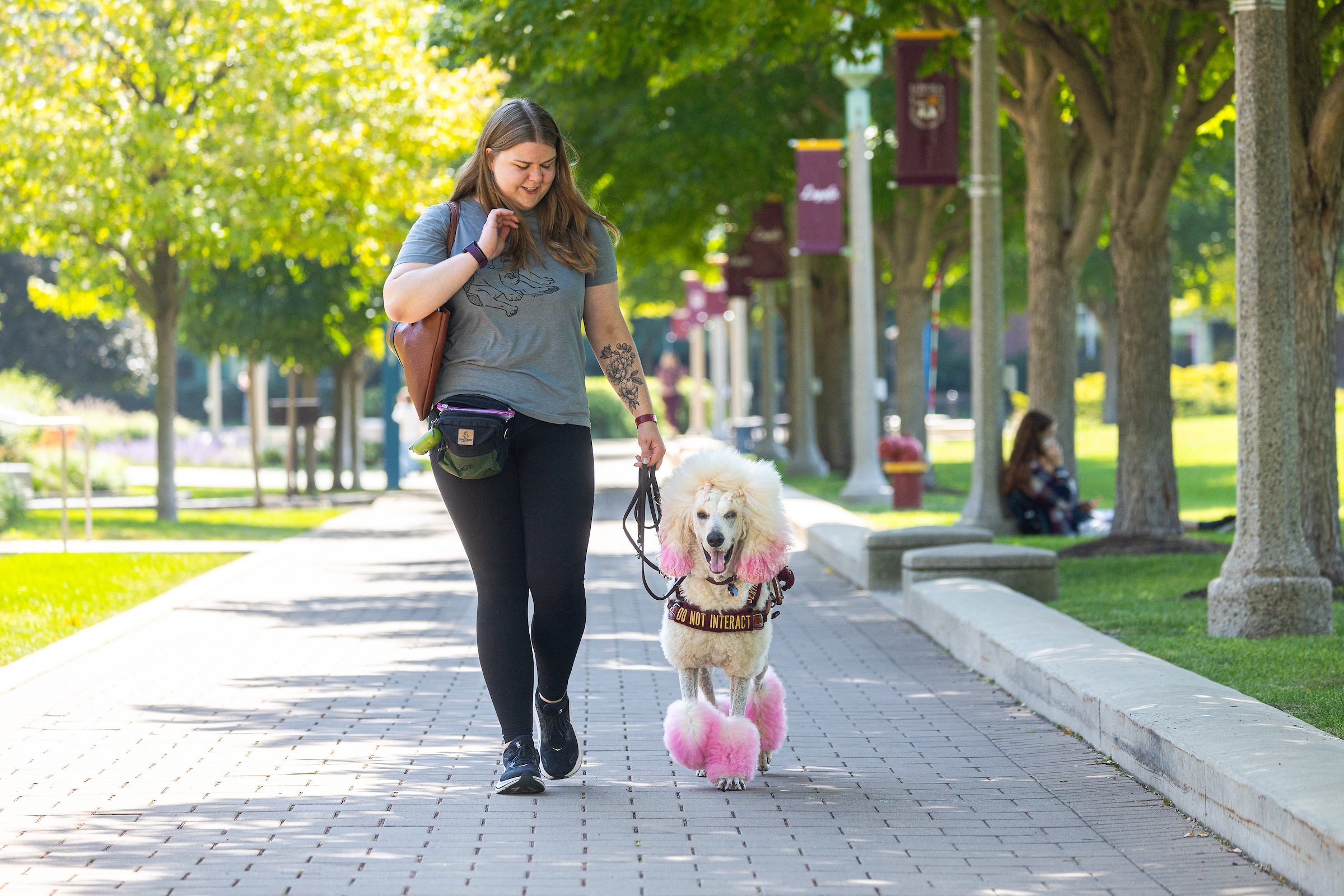 Loyola student Megan Stropus walks her dog, Noodle, along the West Quad.