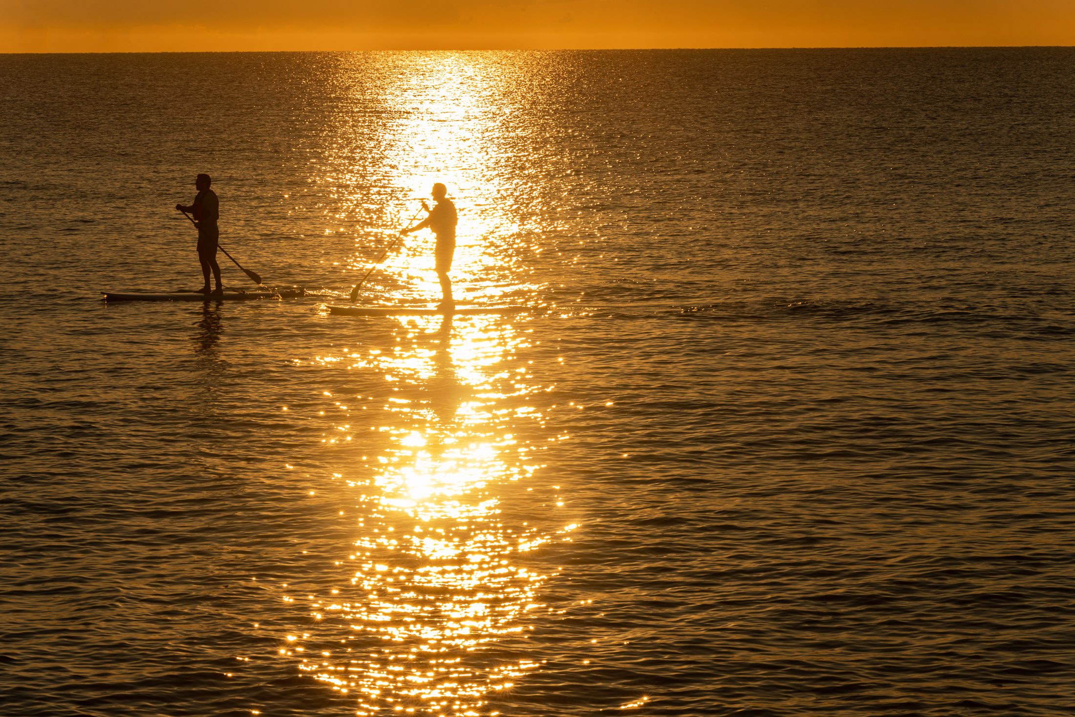 Padldle boarders glide across Lake Michigan at sunrise.