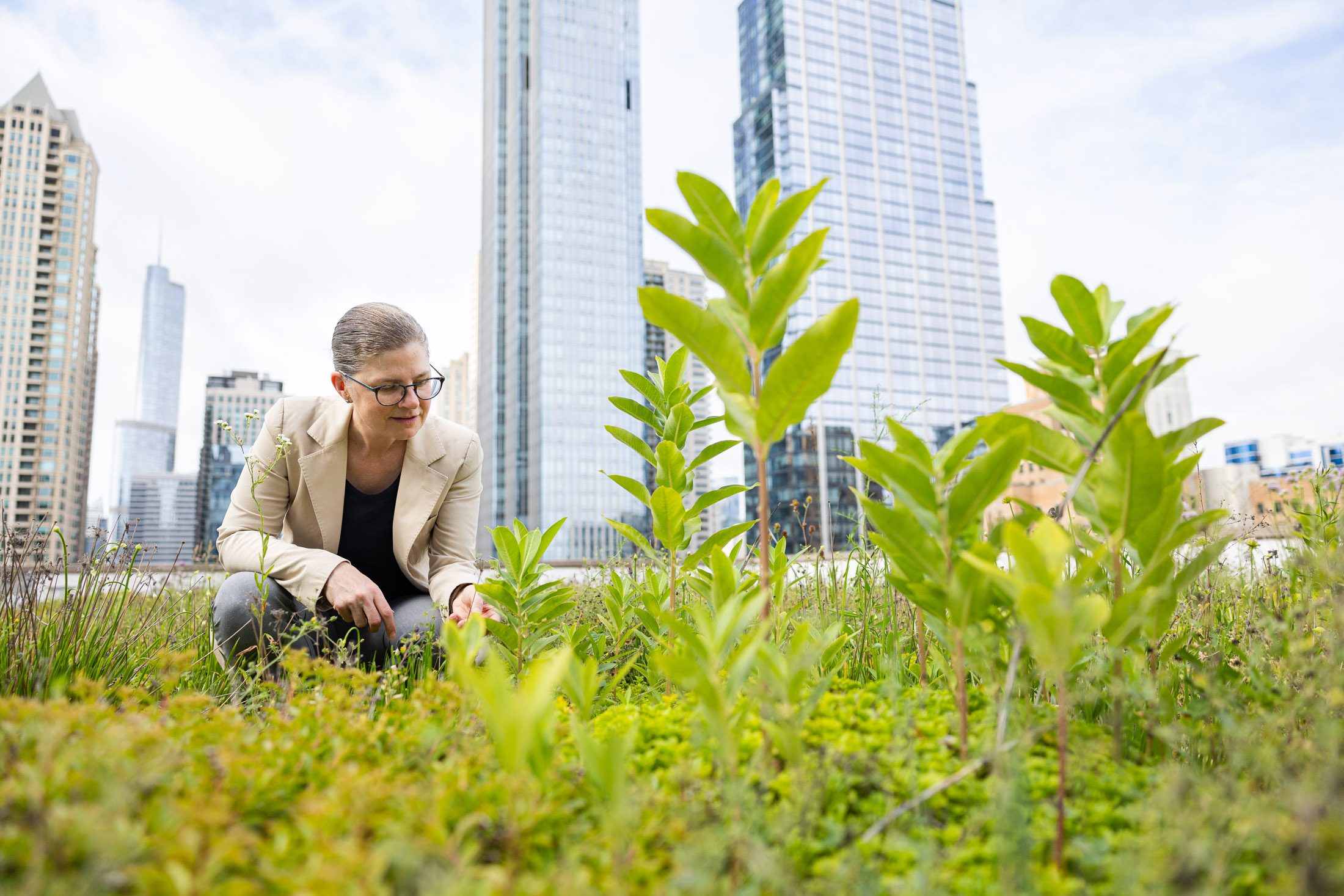 Karen Weigert, director of the Baumhart Center, atop the Schreiber Center on Loyola's Water Tower Campus. Weigert advocates for planting native grasses for residential lawns and installing green roofs in urban areas. 