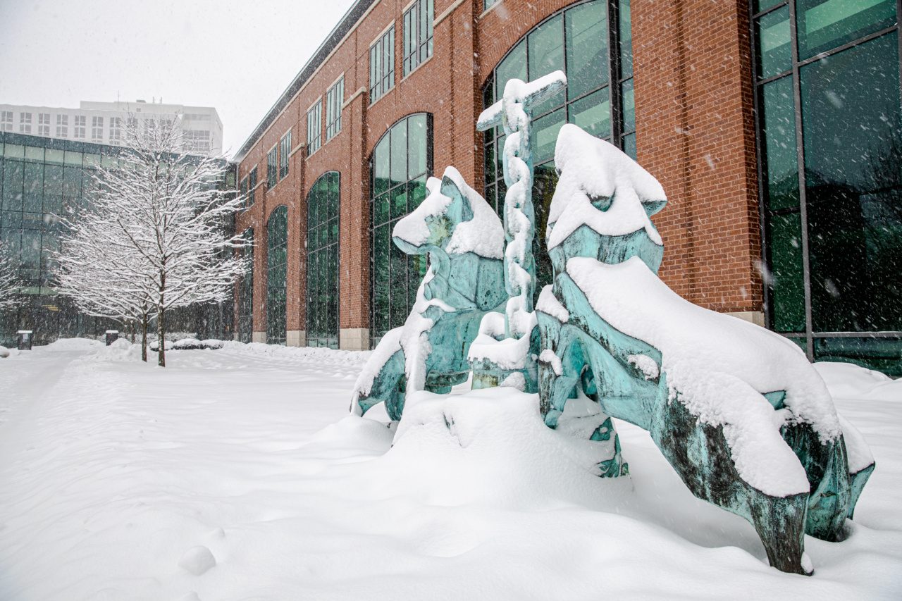 A winter snowstorm hits Chicago on February 2, 2022. (Photo: Lukas Keapproth)
