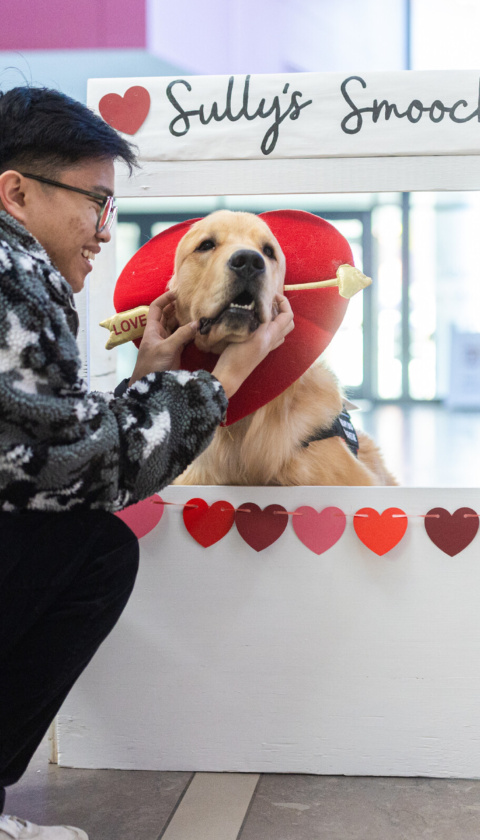 Person crouching beside a dog booth labeled Sully's Smooches, petting a golden Labrador wearing a red heart