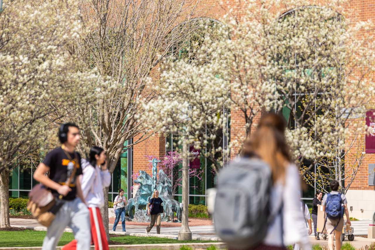 260414_Spring_LSC-1453 (1)