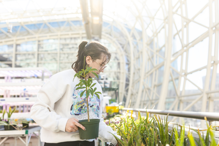 Loyola Receives Top Rating for Sustainability Performance