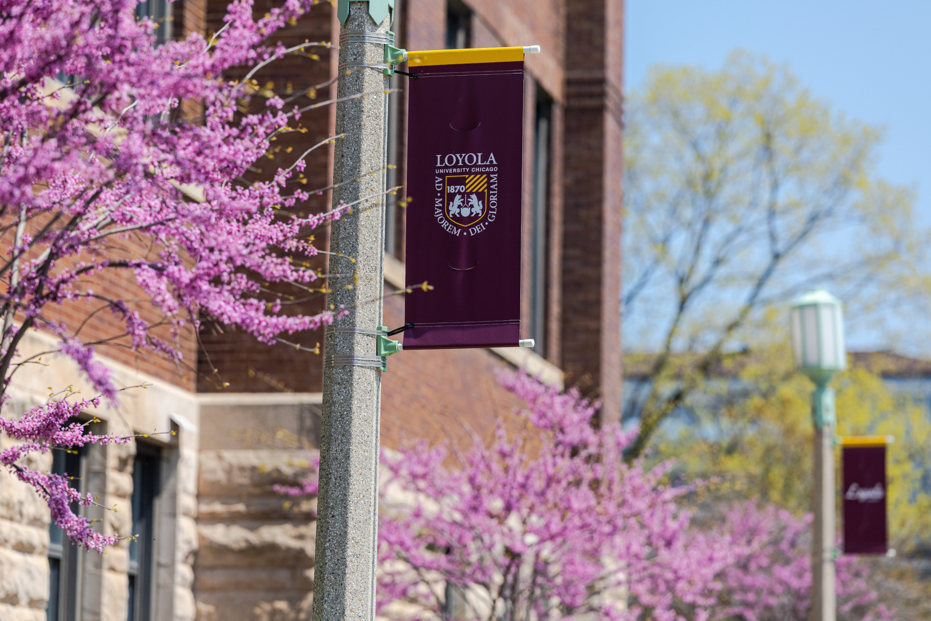 260423_Spring_LSC-2181.jpg