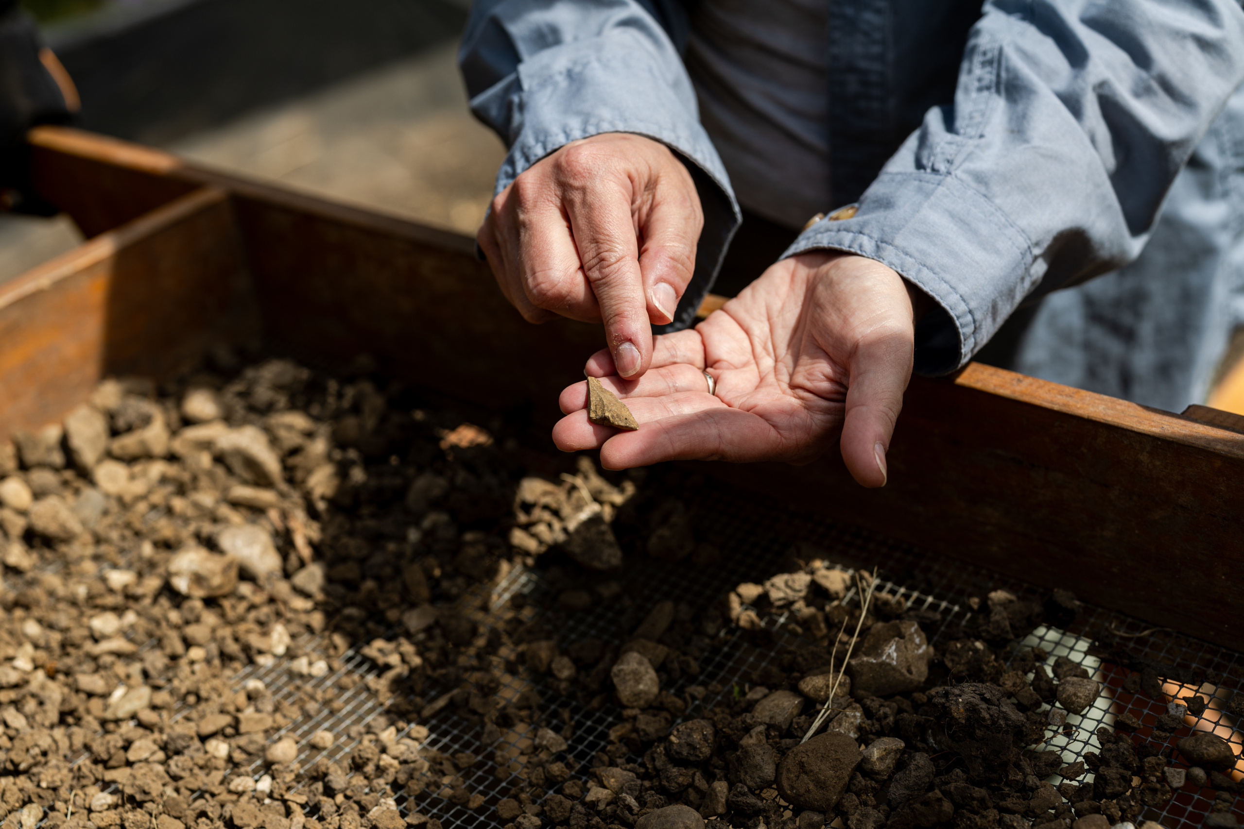 Loyola students sift through top soil near the LUREC campus as part of Laura Grawlinski's archeology course, exploring possible remains from settlements in the 1800s.