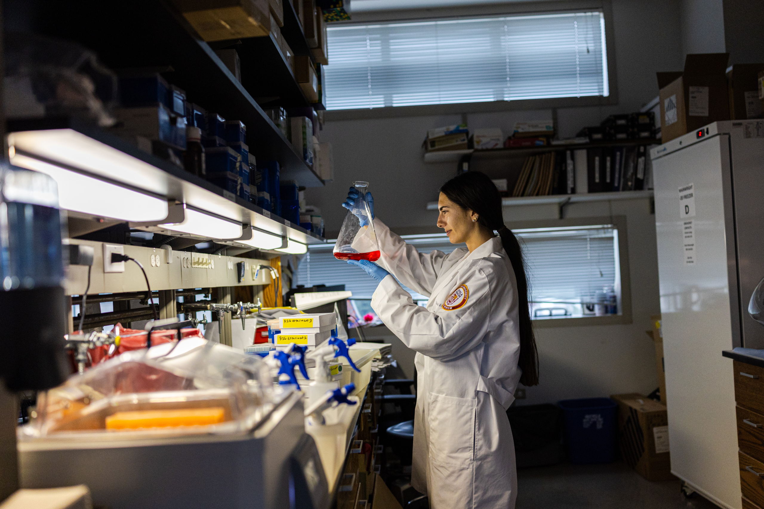 Postdoctoral Scholar Manon Penco-Campillo works in Derek Wainwright's lab on the Health Sciences Campus.